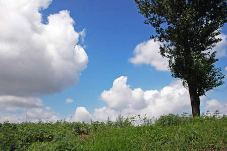 Green and blue skyの写真素材