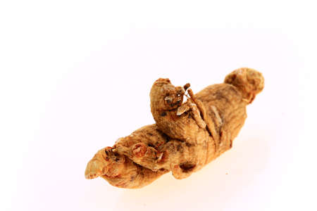 Ginseng on a white backgroundの写真素材