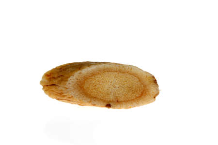 Chinese herbal medicine astragalus membranaceus on a white background, close-up picturesの写真素材