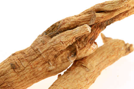 Ginseng on a white backgroundの写真素材