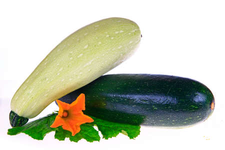 Fresh zucchini on a white background, close-up picturesの写真素材
