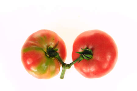 Tomatoes isolated on a white background, it is very freshの写真素材