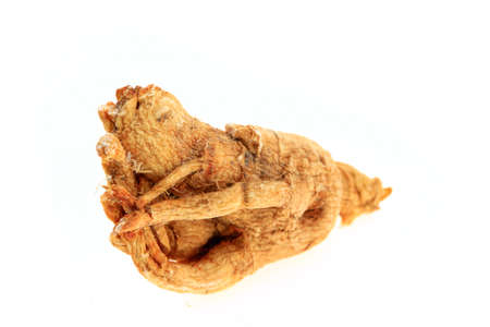 Ginseng on a white backgroundの写真素材