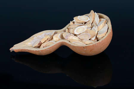Chinese herbal medicine astragalus membranaceus on a white background, close-up pictures