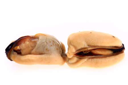Mussels on a white background