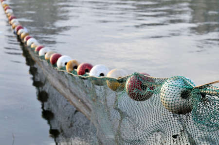 The nets and the river float