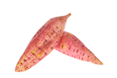 Fresh ripe sweet potatoes on a white backgroundの写真素材