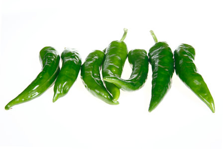 Fresh green chilies on white backgroundの写真素材