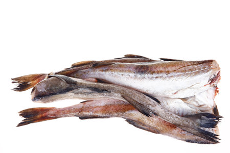 Cod isolated on a white background, freshの写真素材