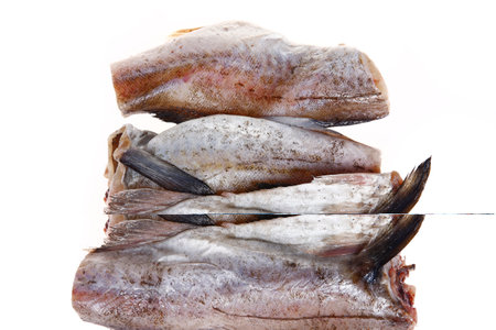 Cod isolated on a white background, freshの写真素材