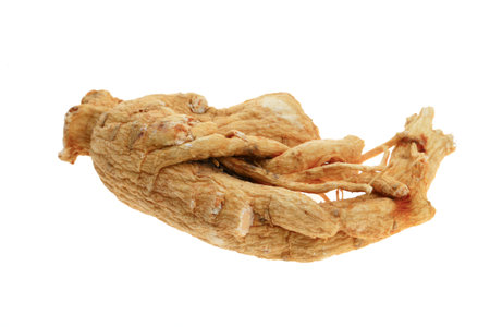 Ginseng on a white backgroundの写真素材