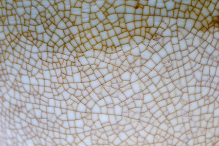 The texture of the porcelain waresの写真素材