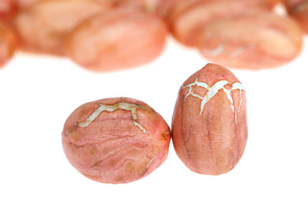 Peeled peanut kernels isolated on a white background, shot up close