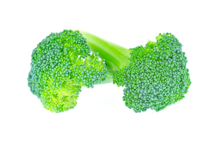 Vegetables broccoli on a white backgroundの写真素材