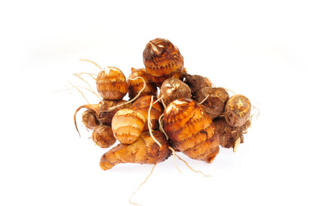 Taro on a white background