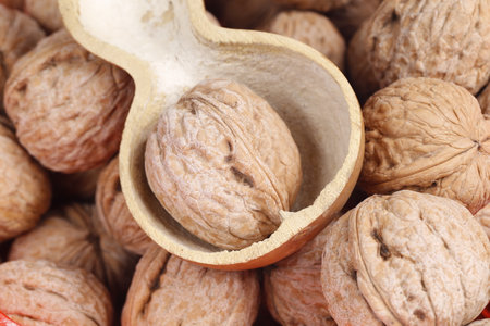 Walnuts are isolated on a white background for close-up shooting