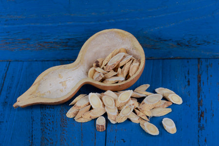 Chinese herbal medicine astragalus membranaceus on a white background, close-up pictures