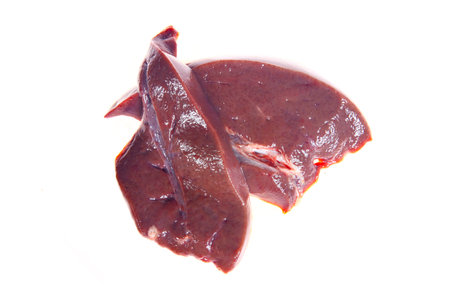 Fresh pork liver on a white backgroundの写真素材