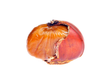 Chestnuts on a white background, taken up closeの写真素材