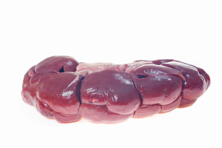 Fresh beef kidneys on a white background