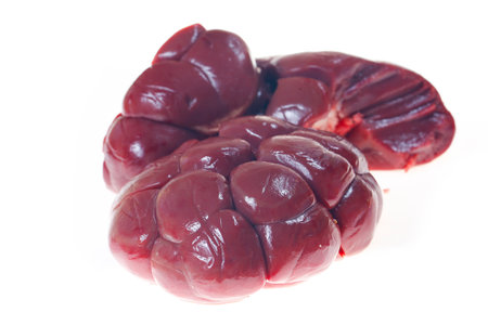 Fresh beef kidneys on a white background,