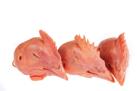 Fresh chicken head on a white backgroundの写真素材