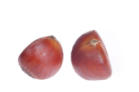 Chestnuts on a white background, taken up closeの写真素材