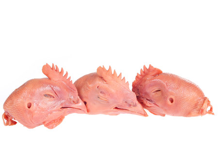 Fresh chicken head on a white backgroundの写真素材