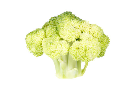 Broccoli isolated on white background,A close-up shotの写真素材