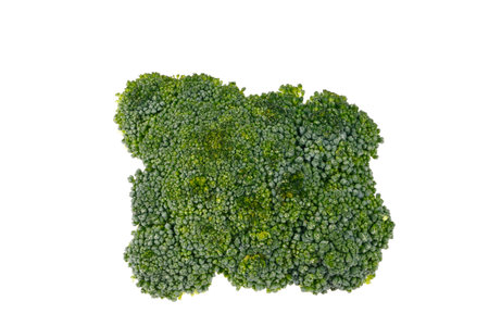 Broccoli isolated on white background,A close-up shotの写真素材