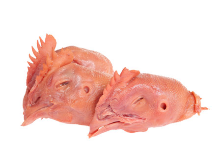Fresh chicken head on a white backgroundの写真素材