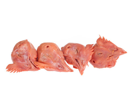 Fresh chicken head on a white background