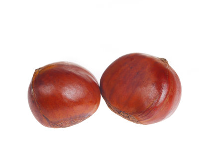 Chestnuts on a white background, taken up closeの写真素材