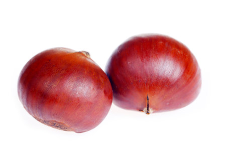 Chestnuts on a white background, taken up closeの写真素材