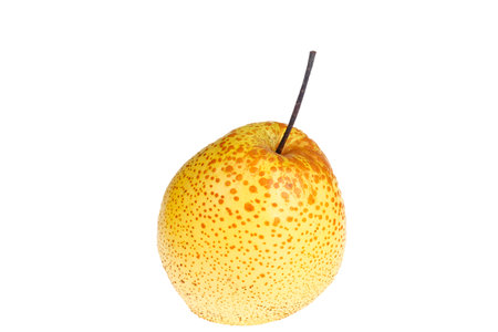 Fresh pears on a white background, goldenの写真素材