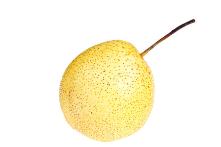 Fresh pears on a white background, goldenの写真素材