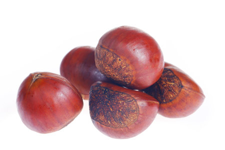 Chestnuts on a white background, taken up closeの写真素材