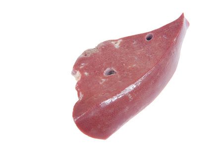 Pig liver is very fresh on a white background.の写真素材