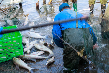 The fish in the water fishing netsの写真素材