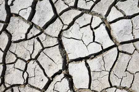 Climate warming dry chapped land