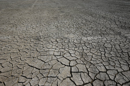 Climate warming dry chapped landの写真素材