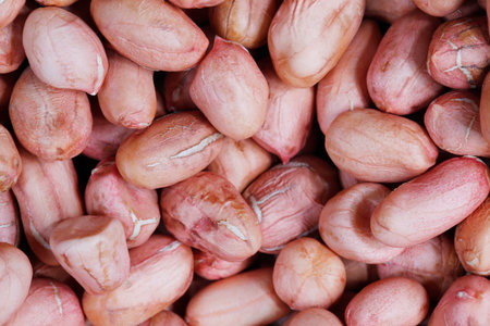 Peeled peanut kernels isolated on a white background, shot up closeの写真素材