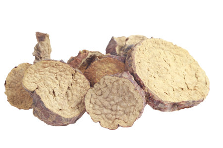 Cistanche deserticola on white background, with Chinese herbal medicineの写真素材