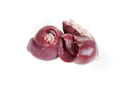 Pig spleen is very fresh on a white background.の写真素材