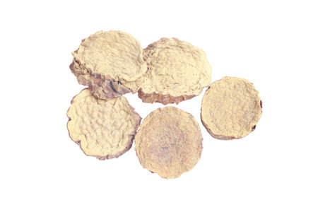 Cistanche deserticola on white background, with Chinese herbal medicine