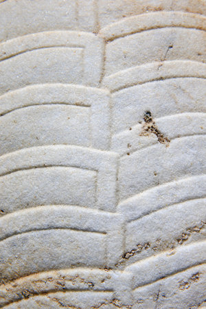 Vintage ornament on the stone. Close-up seamless texture. Stone texture. Pattern on the stone. Embossed pattern.の写真素材