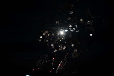 The dazzling fireworks bloomed in the dark night sky, with golden and white flower clusters falling...