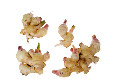Raw ginger rhizome lies on a plain white background