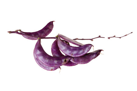 Purple lentils on white background, purple beans