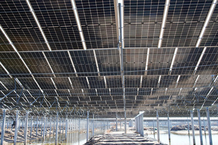 The power plant has rows of solar photovoltaic panels for producing clean electricity. The concept...